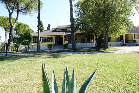 Viale alberato all'interno della struttura