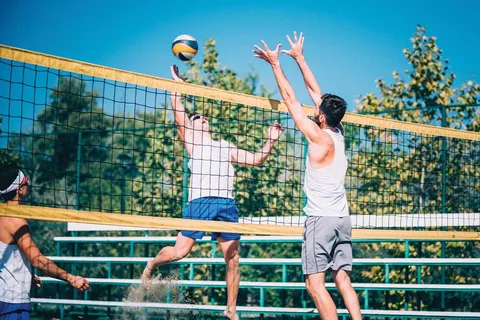 Campo da pallavolo della struttura