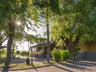 Parco e struttura Narconon Alfiere immersi nel verde
